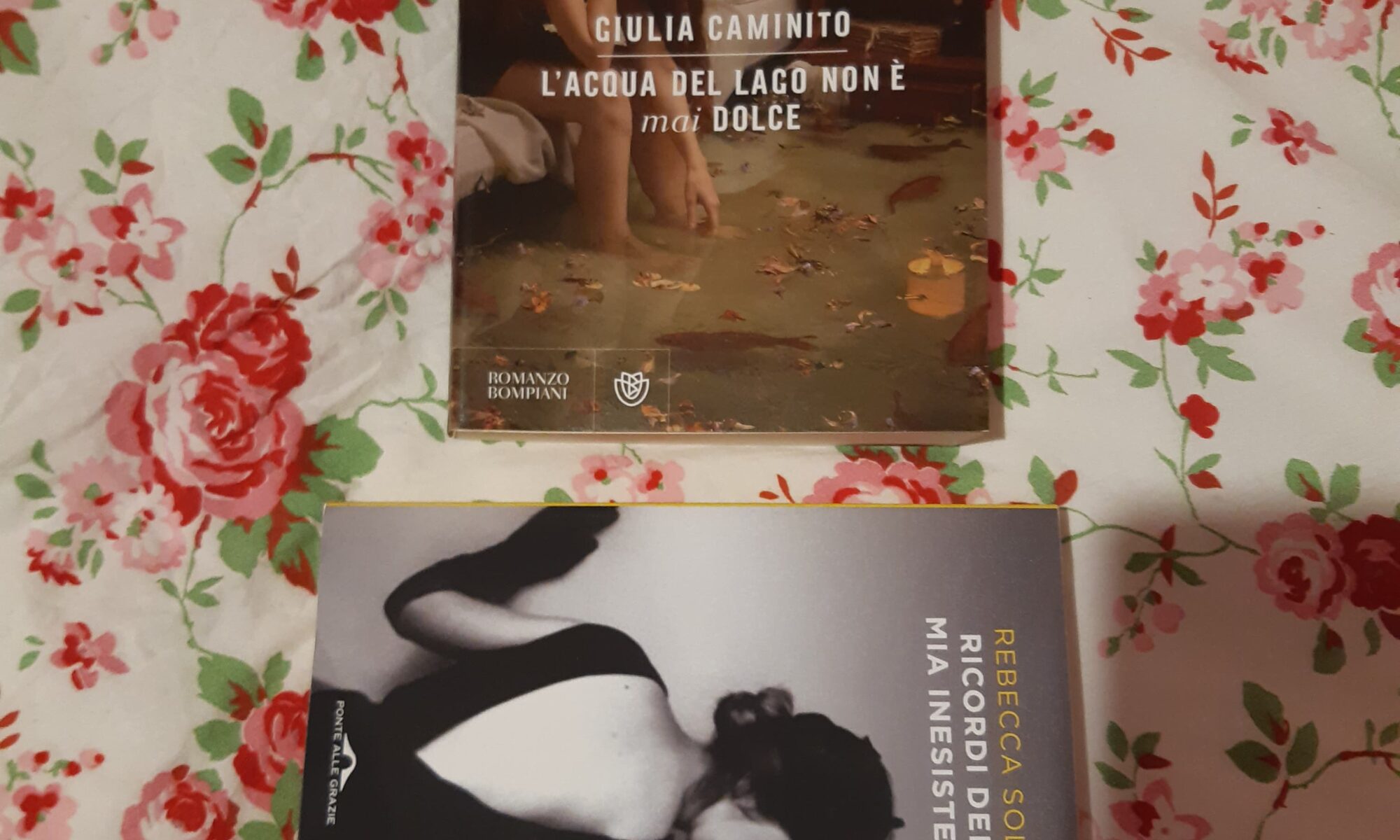 Copertina Caminiti Solint