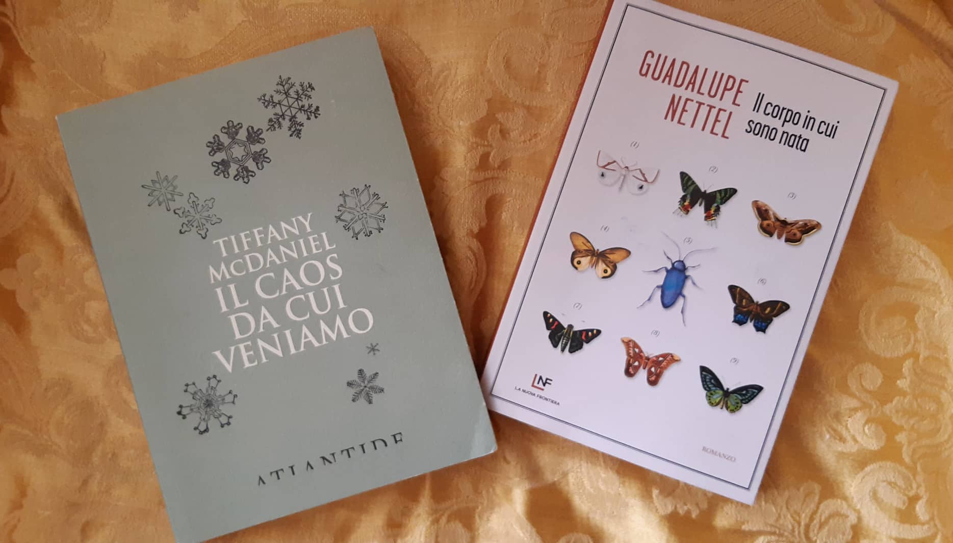 Guadalupe Nettel Tiffany McDaniel